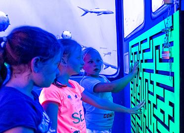 escaperoom 2021 9566